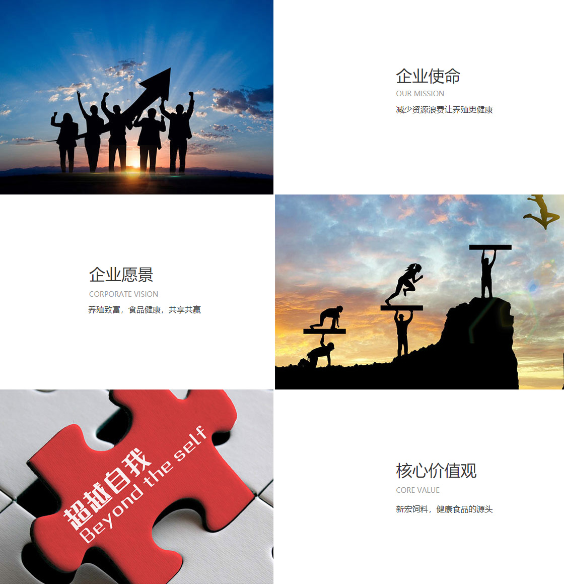 开云app官方网(图1)